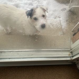 Meet your Posher, Jackie